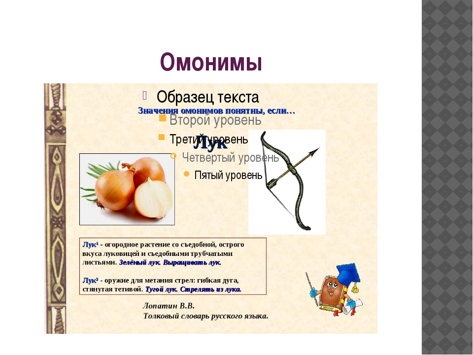 Омонимы: примеры слов