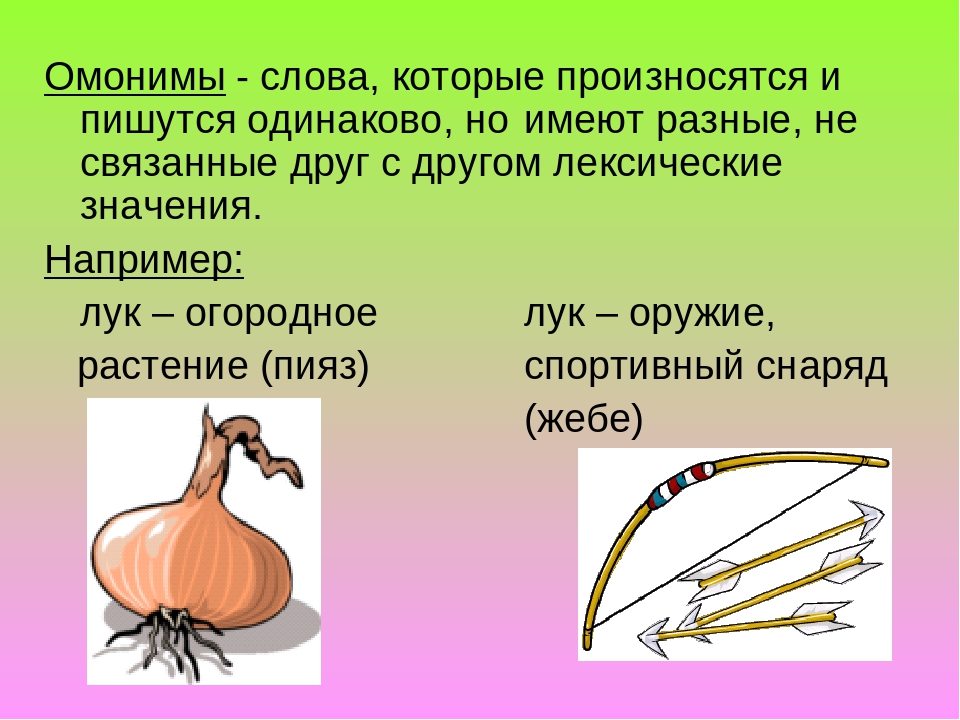 Омонимы и их употребление в русском языке: таблица, примеры
