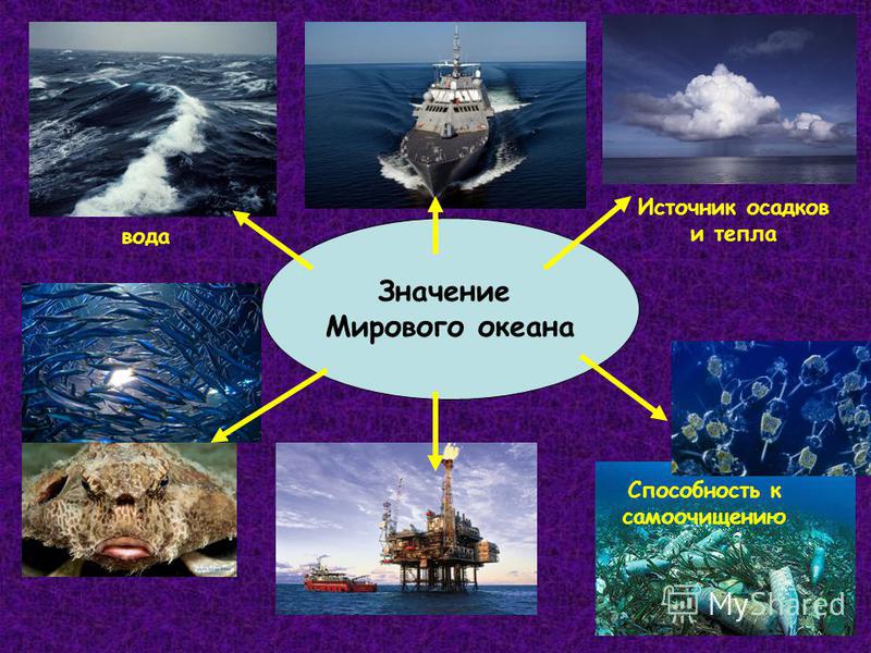 Ресурсы ⚠️ мирового океана: состав ресурсов, общая характеристика, особенности
