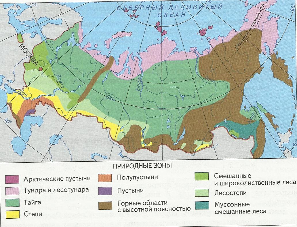 Растительный мир свердловской области - характеристика природы свердловской области - мировая география