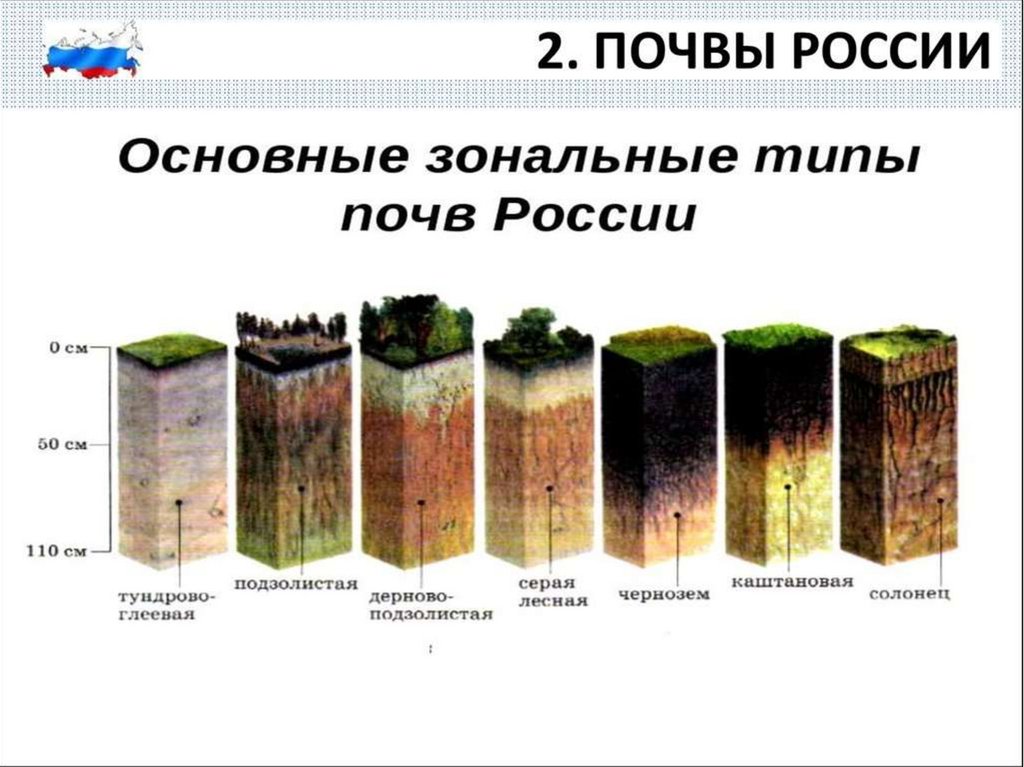 Почва и ее структура. реферат. сельское хозяйство. 2012-04-24