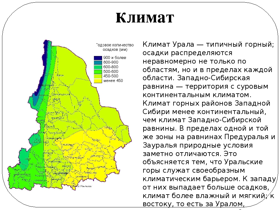 Северо-восточная сибирь: географическое положение и рельеф, природные зоны и внутренние воды региона