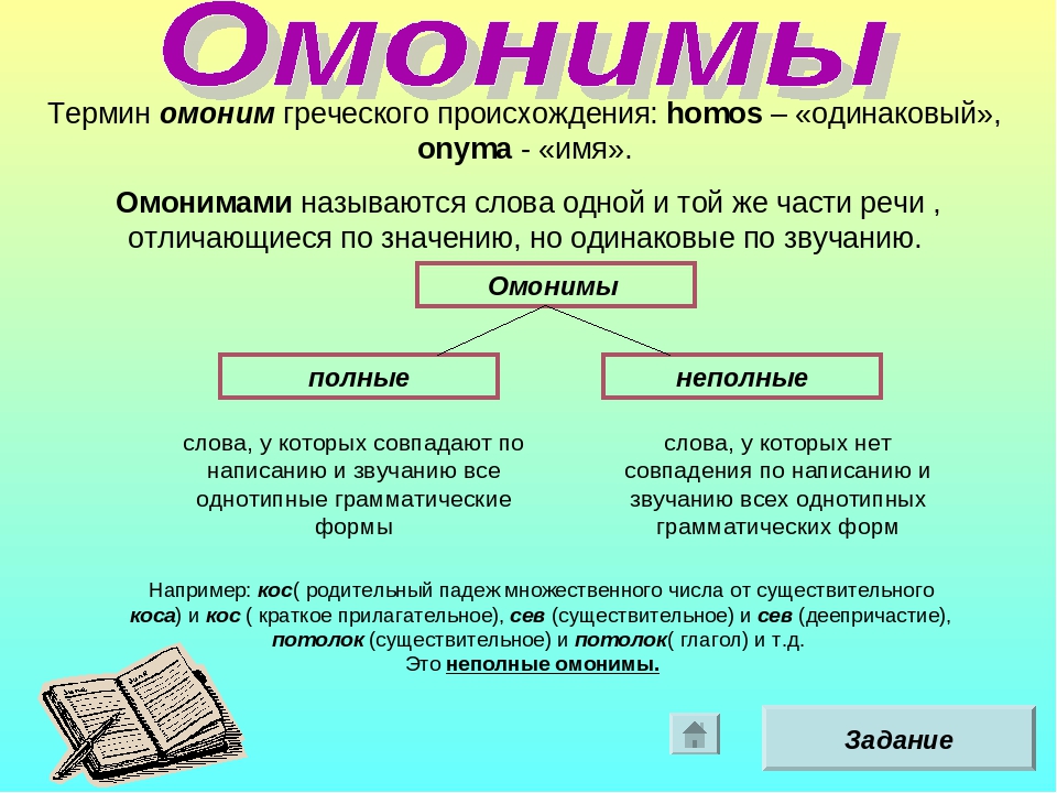 Омонимы, омоформы, омографы, омофоны