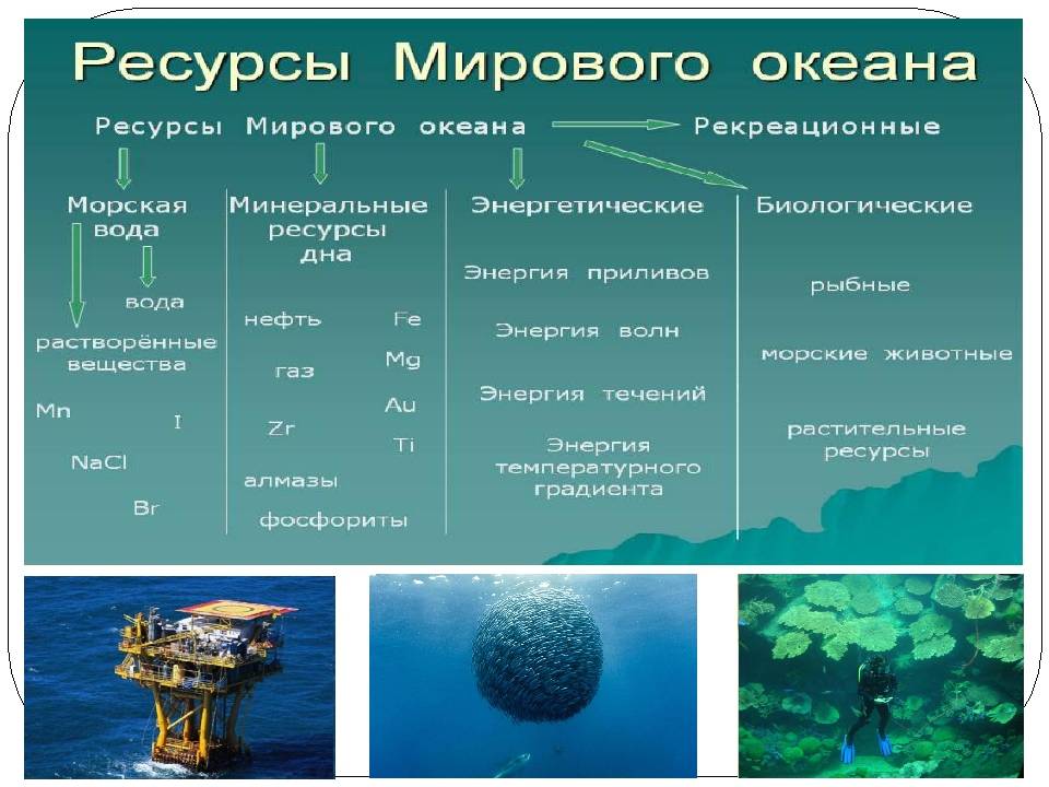 Особенности распределения минеральных ресурсов. реферат: минеральные ресурсы россии