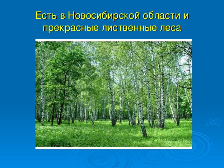 Природные объекты россии, включенные в список всемирного наследия юнеско