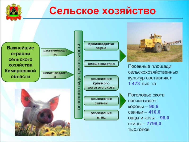 Сельское хозяйство россии