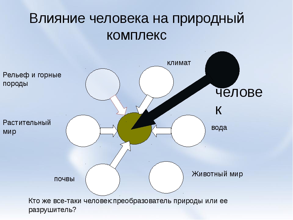 Что такое широтная зональность? в чем она проявляется? :: syl.ru