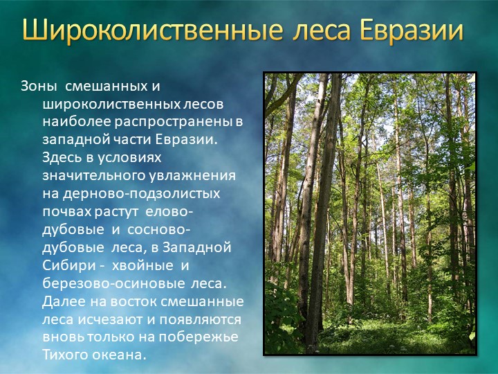 Природные зоны россии: карта, названия, географическая характеристика и таблица