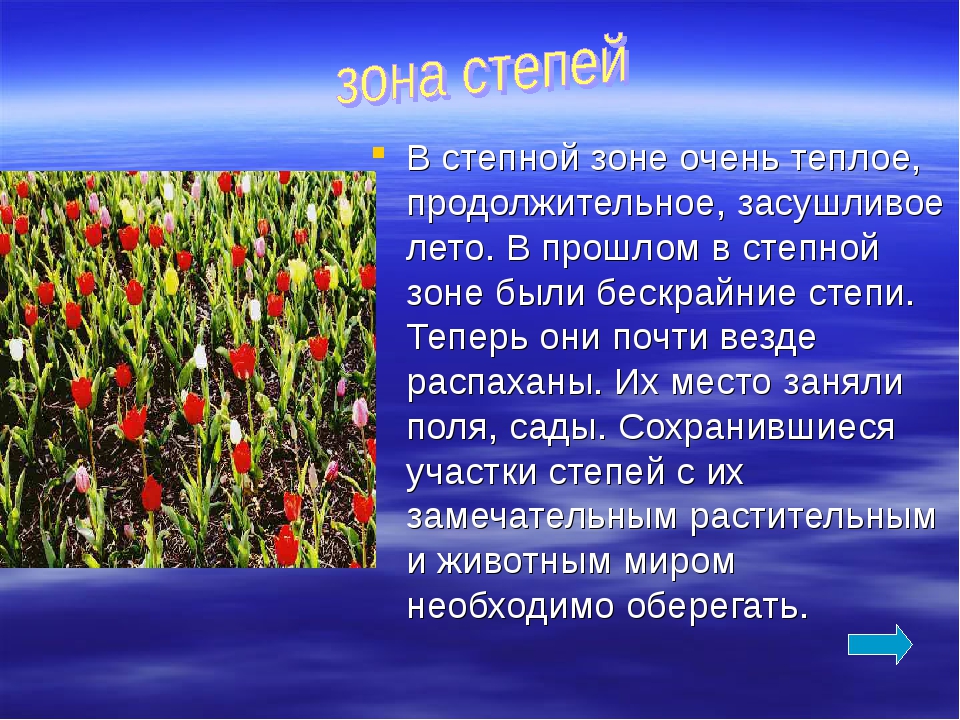 Тюльпан где растет природная зона. Зона степей 4 класс. Презентация на тему степь. Растения степи России. Растения зоны степей.