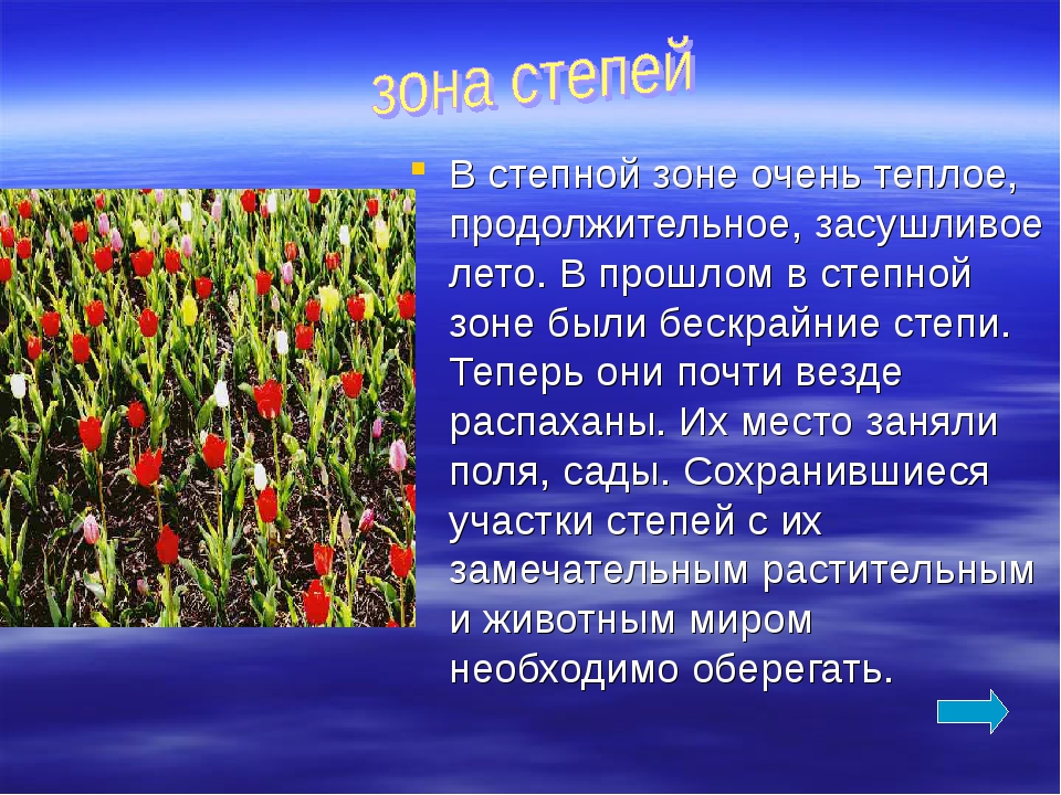 Окружающий мир степи 4. Проект зона степей. Зона степей 4 класс. Зона степей 4 класс окружающий. Зона степей доклад.