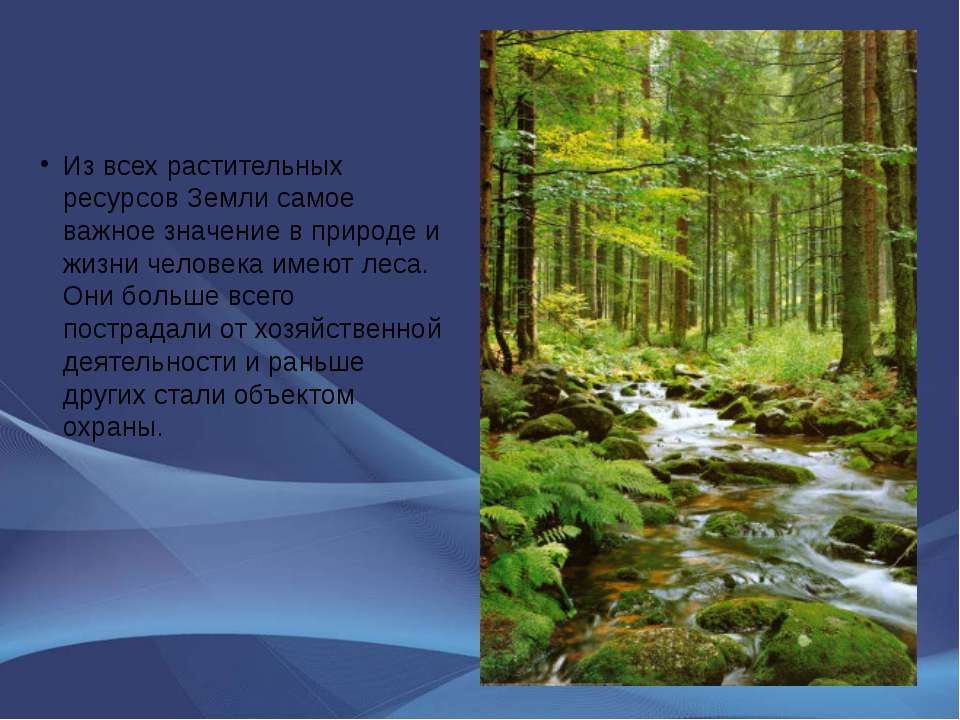 Таблица “природные зоны россии” (8 класс) по географии – характеристика, животные