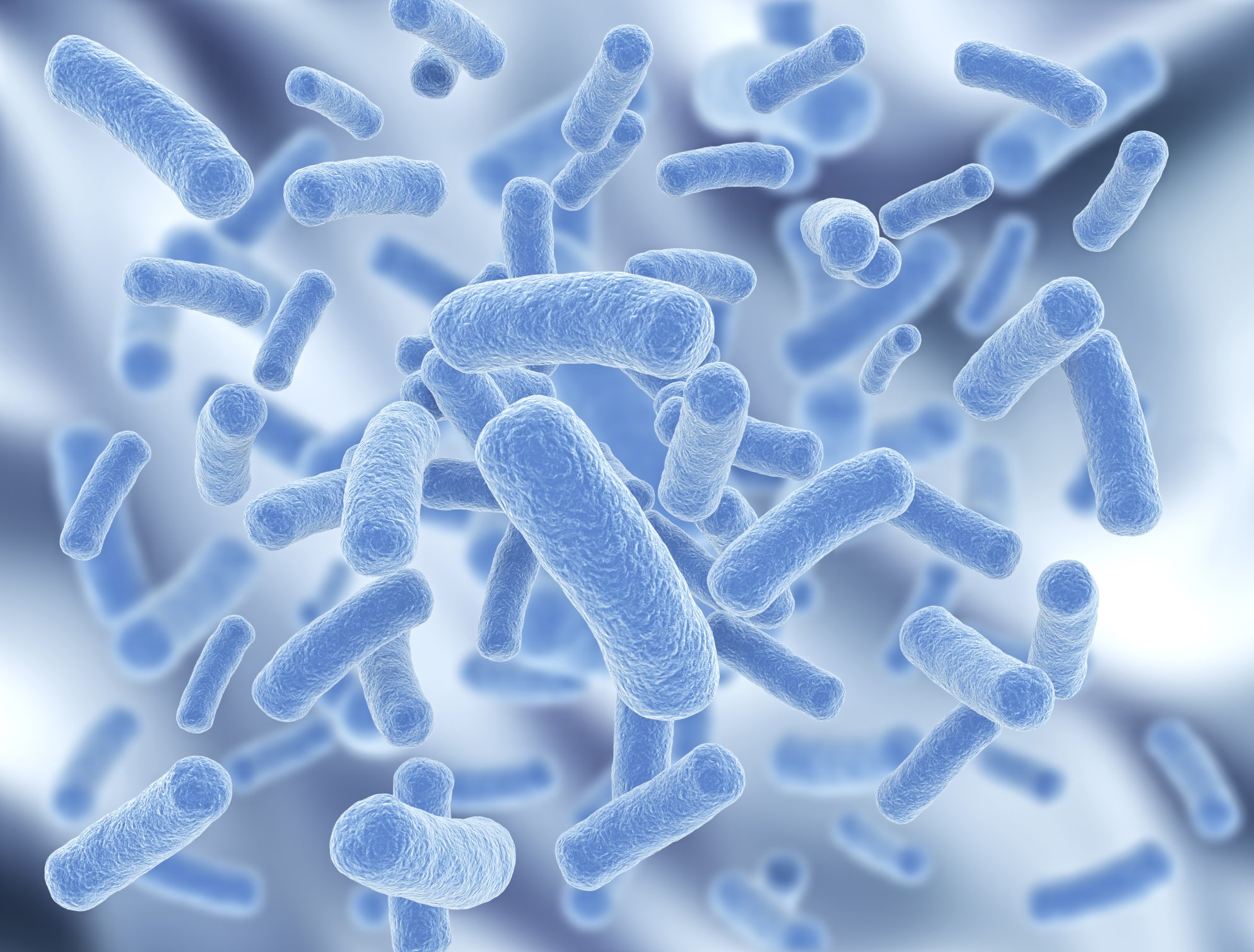 Бактерии - что это? полезные и вредные бактерии * клиника диана в санкт-петербурге