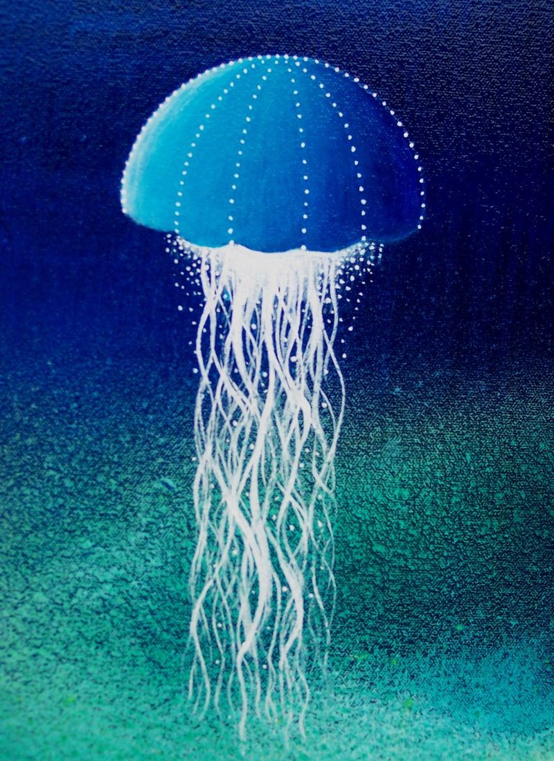 Самые необычные и интересные факты о медузах