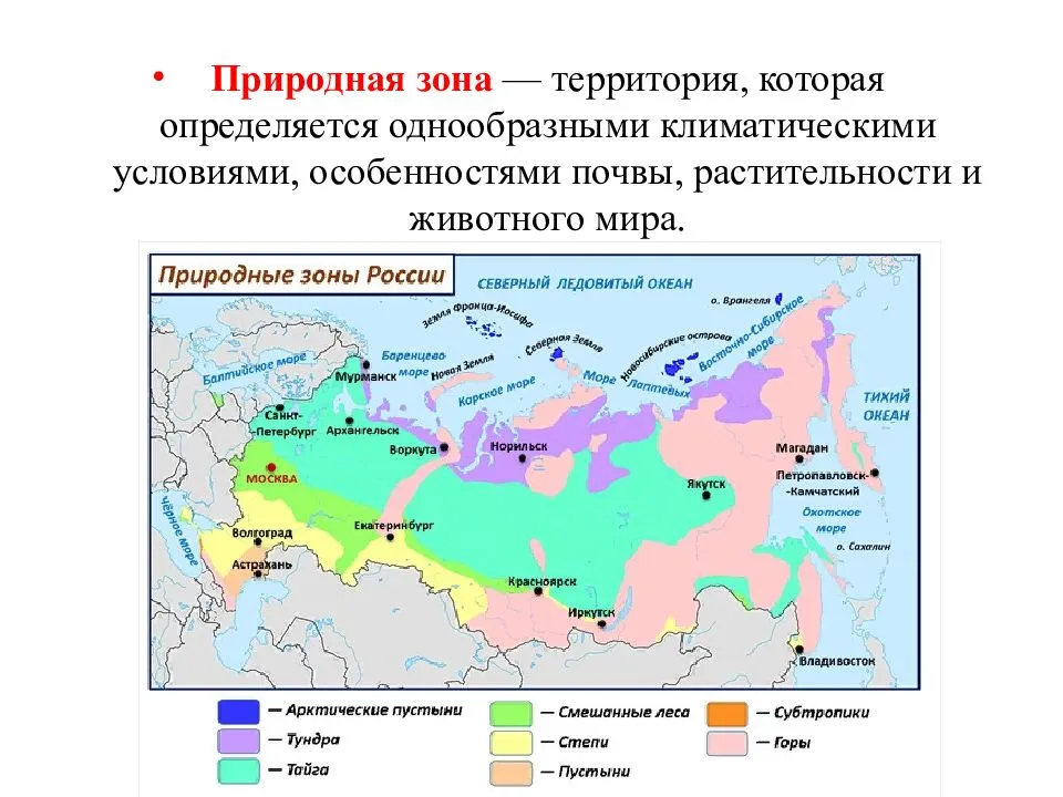 Климат тайги в россии: связанные с ним особенности животного и растительного мира