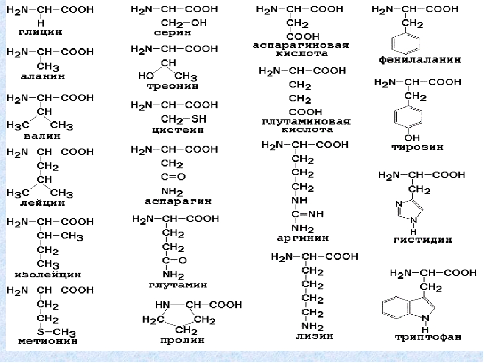 Что такое гидролиз солей: какой процесс так называется в химии и каково его значение | tvercult.ru