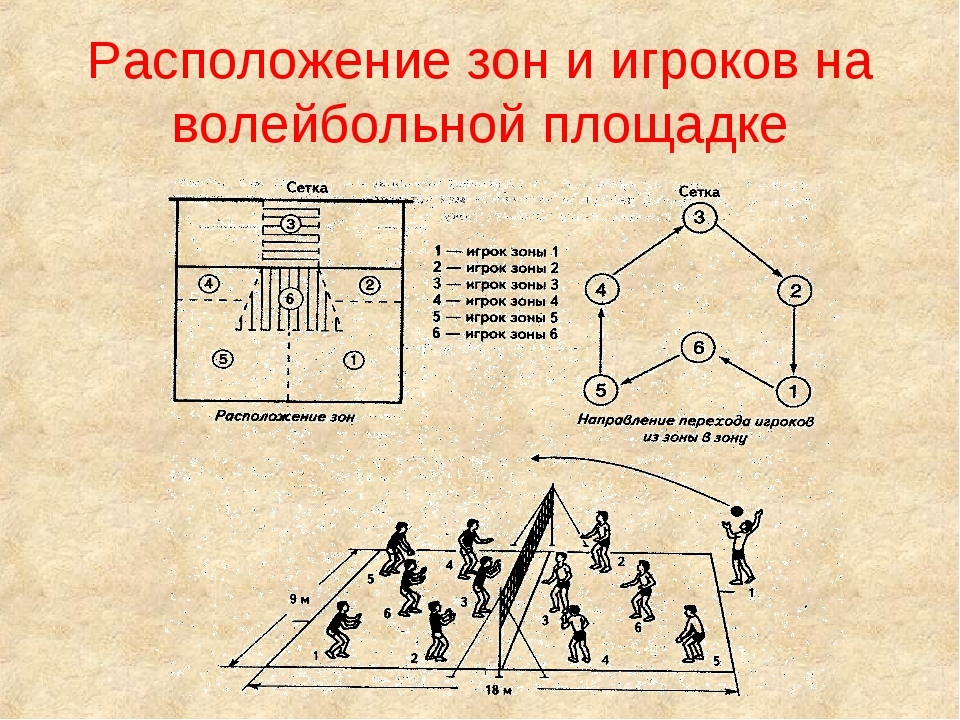 Зоны в пионерболе схема