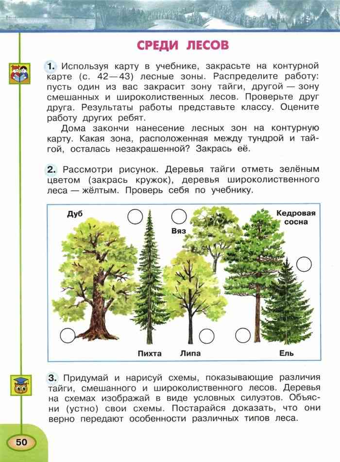 Тайга - географическое положение, животный и растительный мир, особенности и характеристика природной зоны. особенности климата в тайге россии в разное время года
