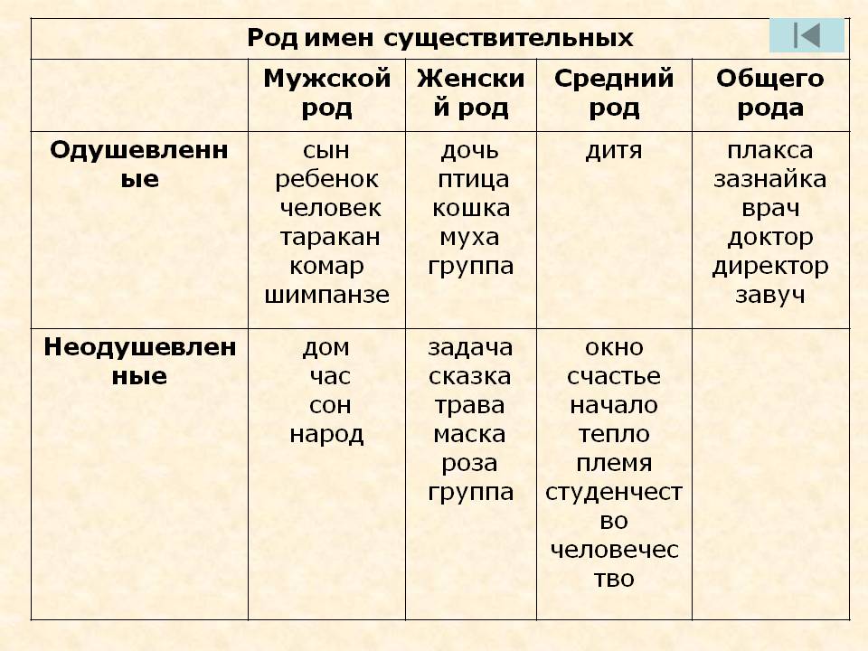 Род имён существительных в русском языке
