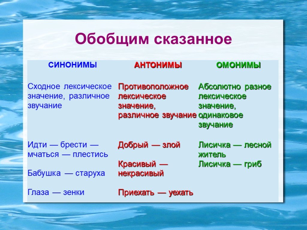 Омонимы в русском языке