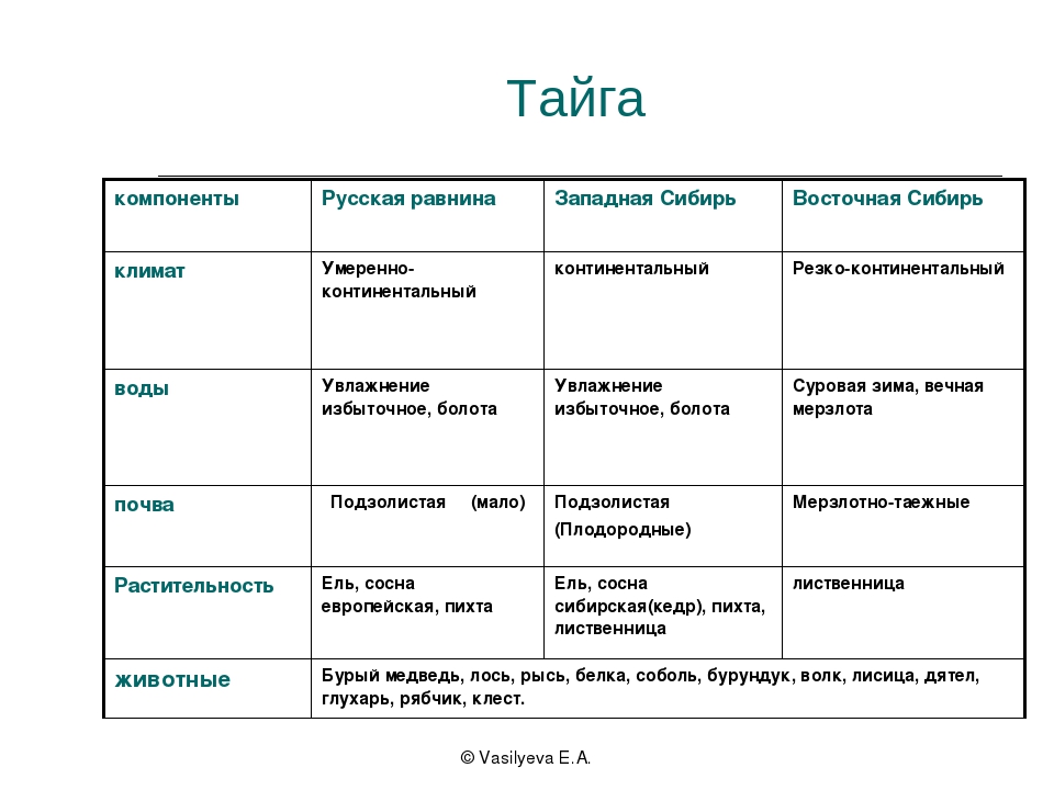 Таблица сравнение природных зон. Природная зона Тайга таблица. Тайга характеристика природной зоны. Таблица характеристика тайги России. Особенности природной зоны тайги.