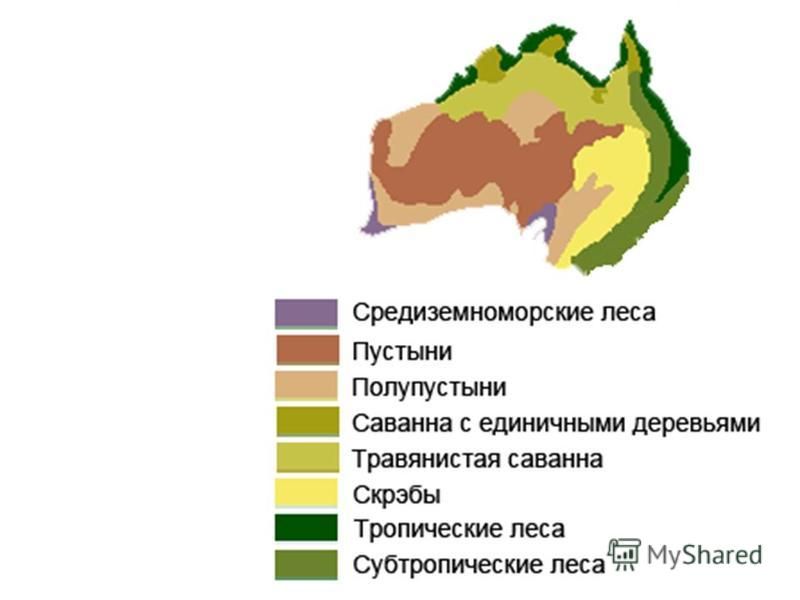 Природные зоны австралии и их основные особенности