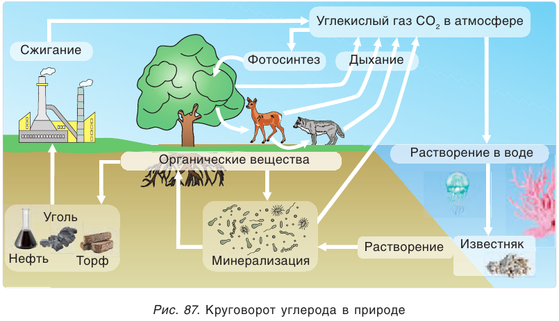 Углерод (c) и его соединения, получение и применение углерода