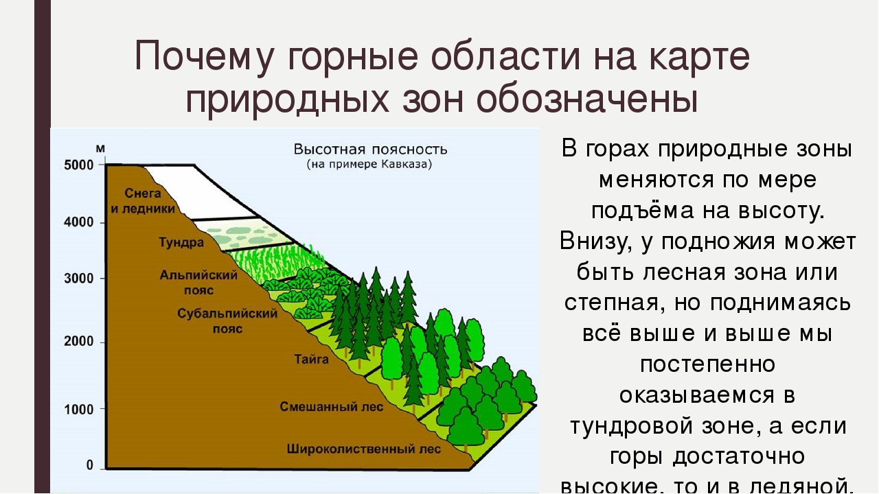 Природные зоны горных областей (4 класс)