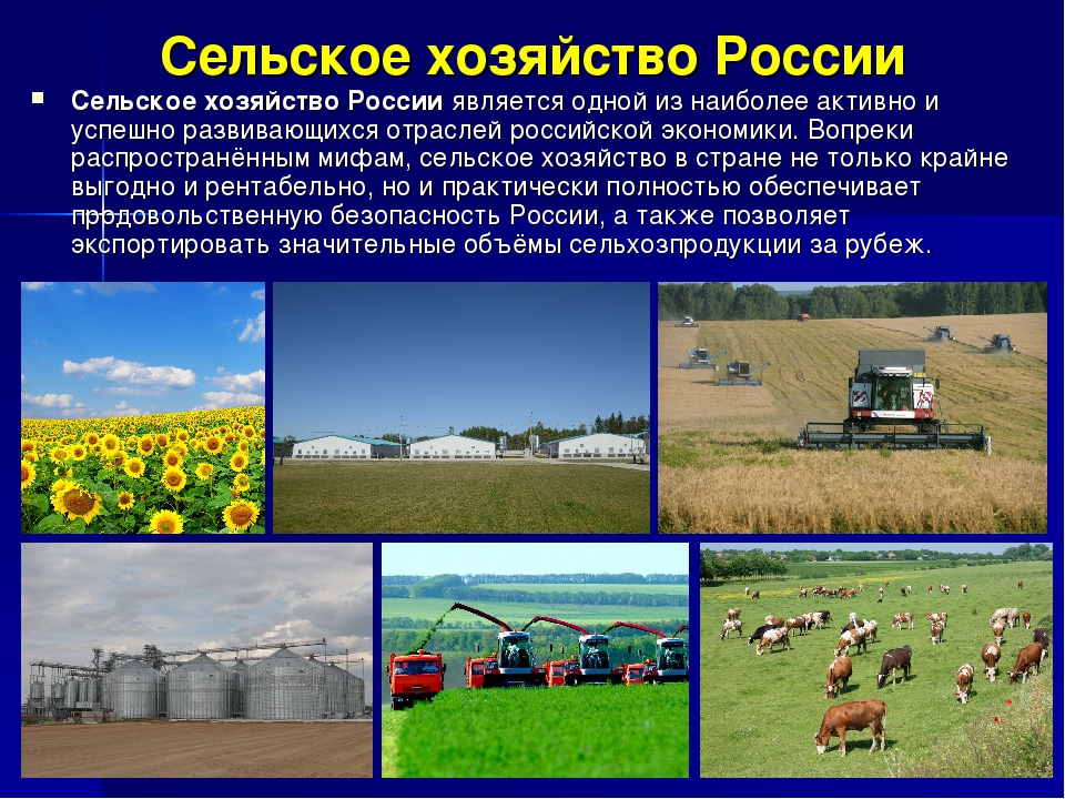 Отрасли сельского хозяйства: агропромышленный комплекс(апк), специализация, промышленность, ресурсы, примеры, растениеводство и животноводство
