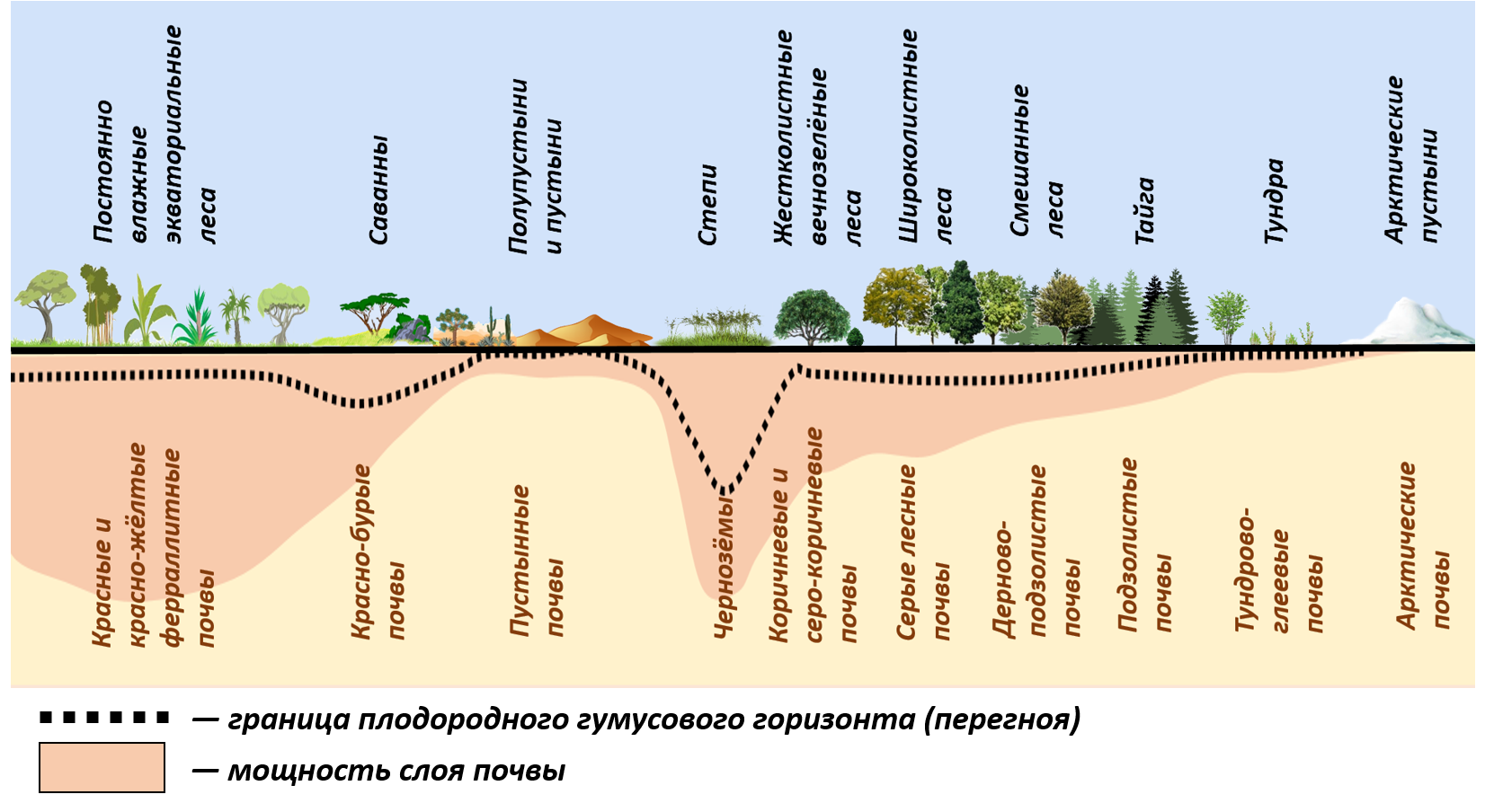 Конспект "почвы и почвенные ресурсы" - учительpro