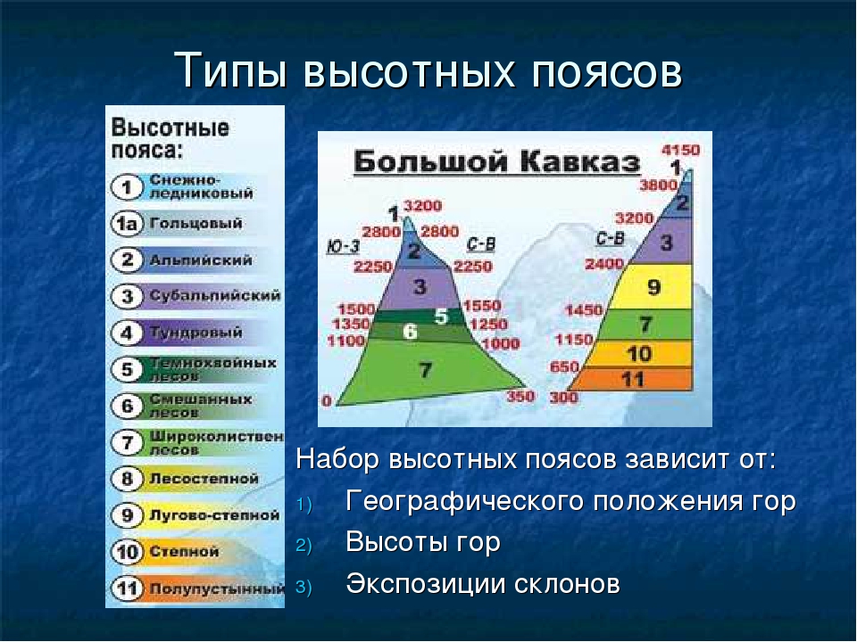Окружающий мир 4 класс 1 часть природные зоны россии стр. 71 – 75