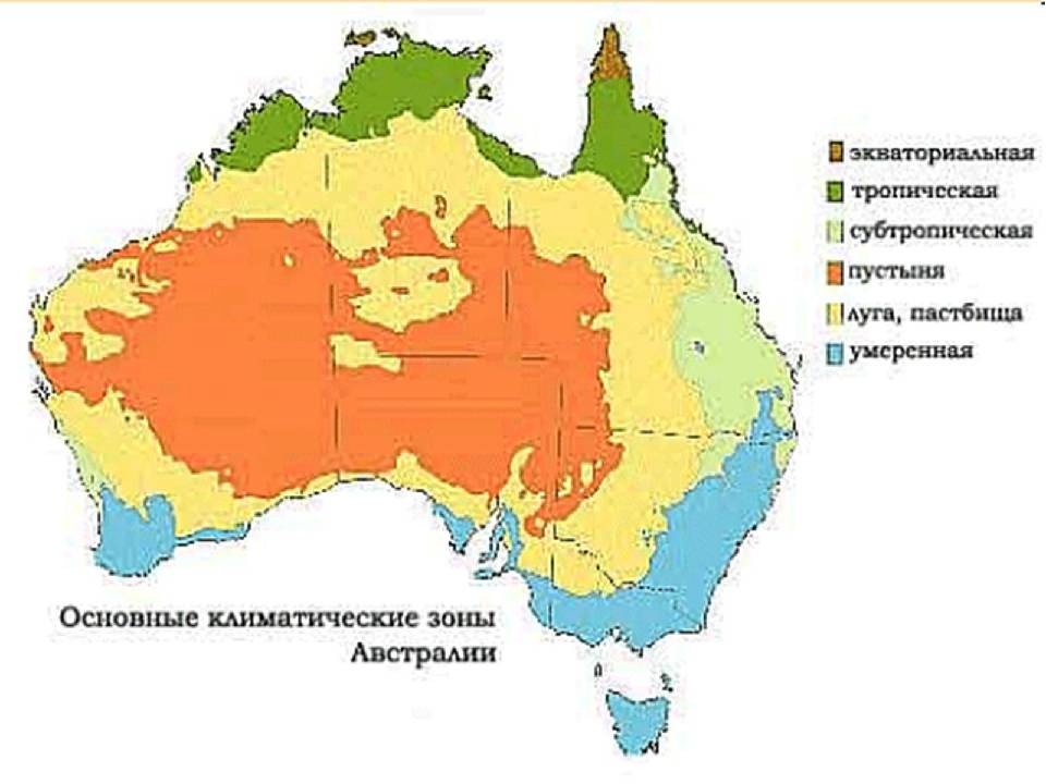 Австралия: природа материка, ее особенности. животные и растения австралии