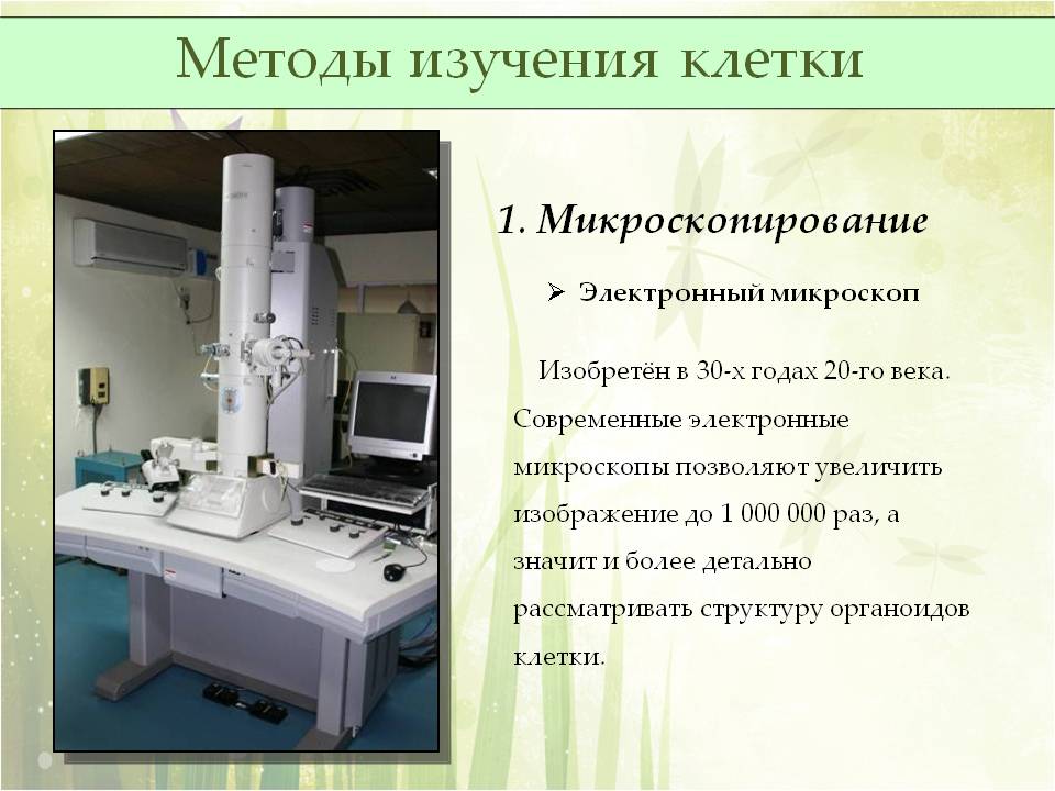 Методы изучения жизнедеятельности клетки 5 класс план сообщения