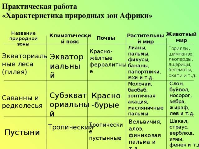 ᐉ саванны и редколесья растения и животные - zooshop-76.ru