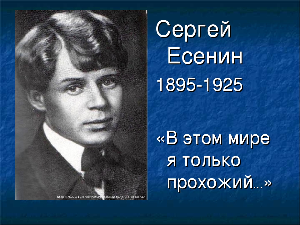 Есенин известные стихотворения. С. А. Есенин (1895–1925).