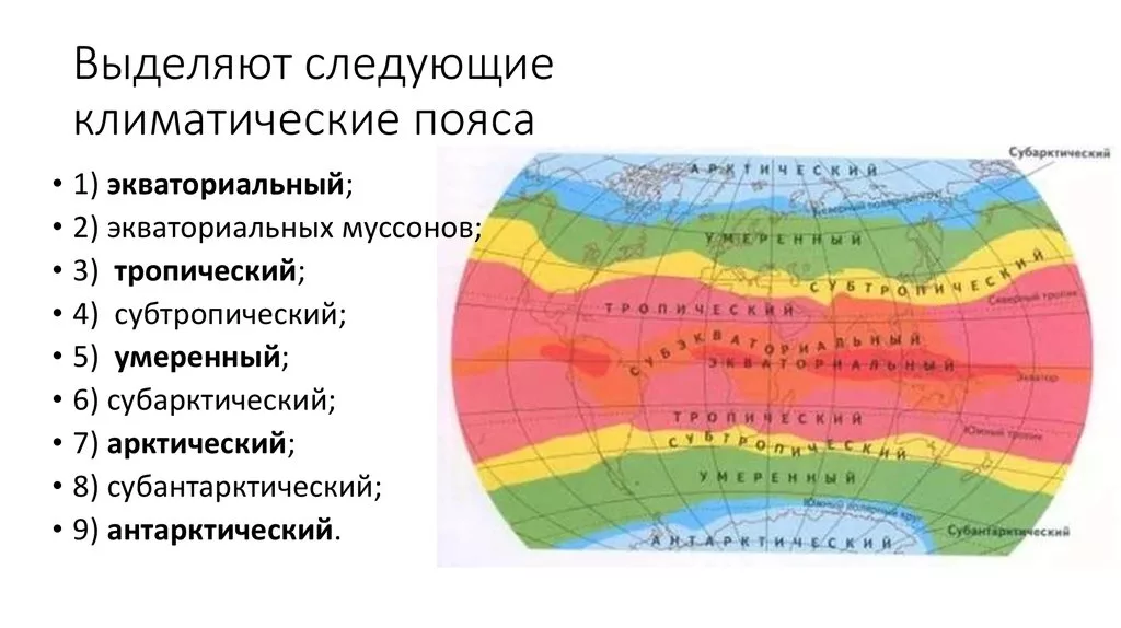 Природно-климатические зоны россии :: syl.ru