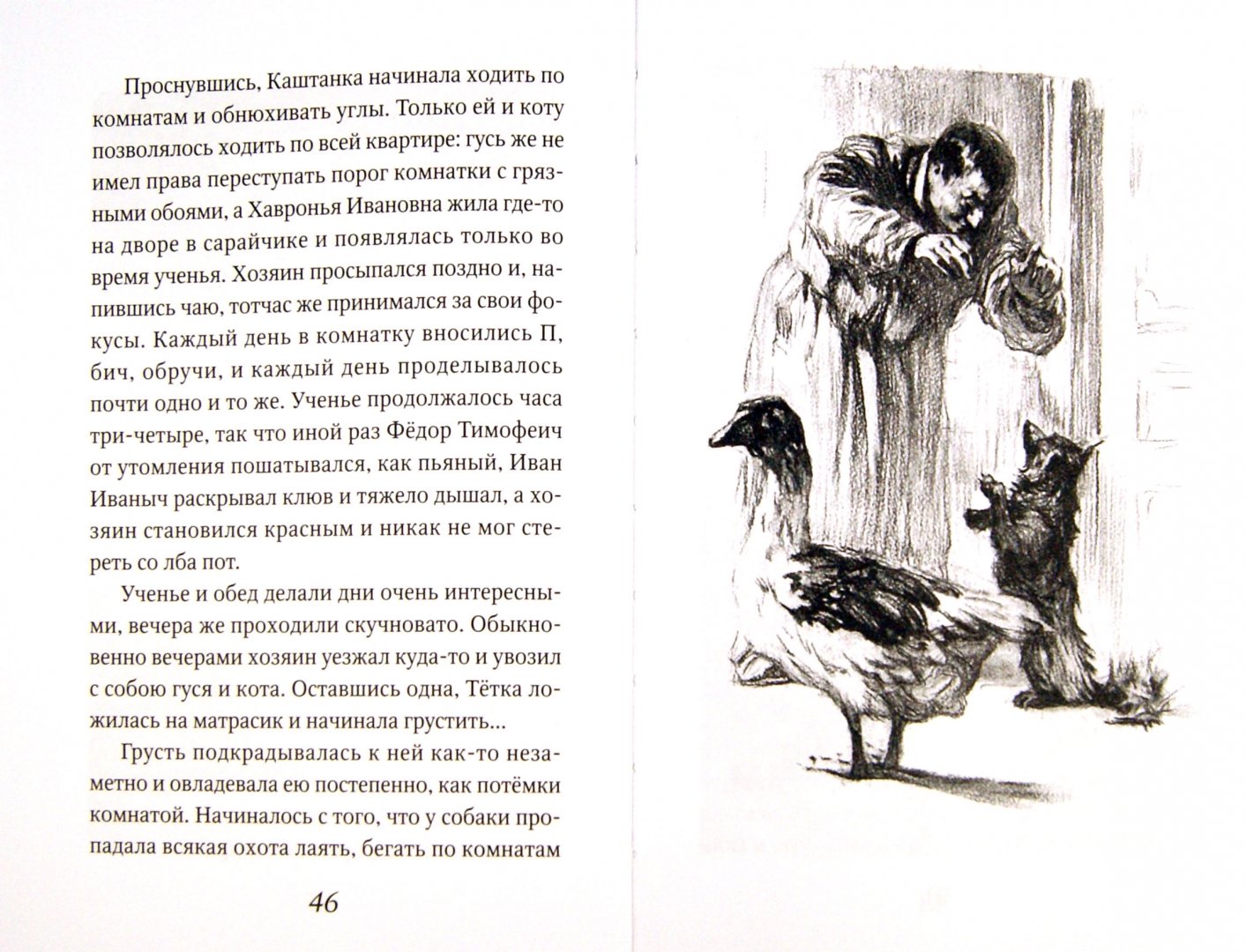 Краткое содержание рассказа «каштанка» и отзыв для читательского дневника (а.п. чехов)