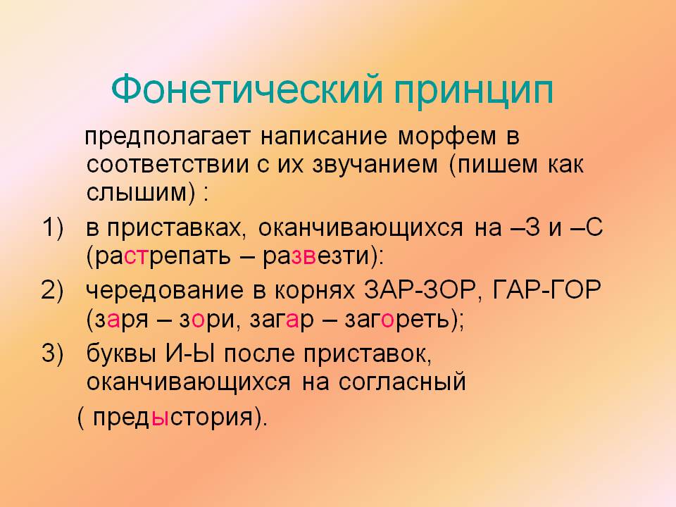 Орфография в русском языке - основные принципы и разделы