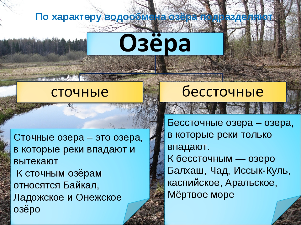 Перечислите происхождение озер. Виды озер. Типы озер по происхождению. Сточные бессточные и проточные озера. Озера классификация озер.