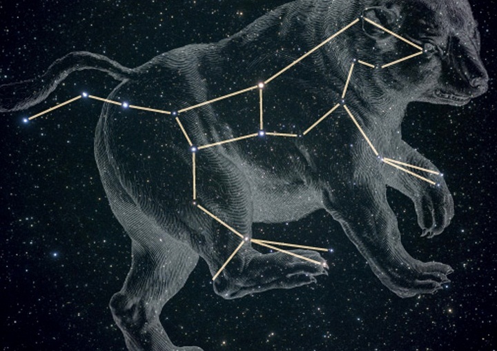 Созвездия северного полушария. как найти. маленькая прогулка по ночному небу