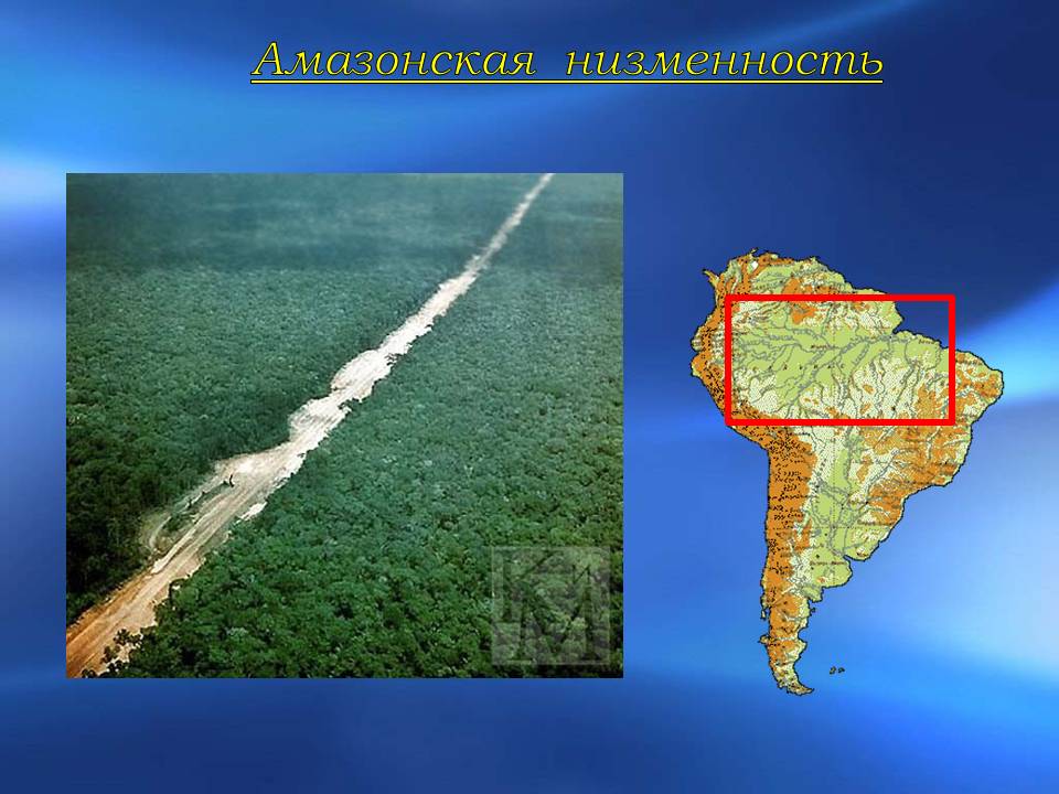 Амазонская низменность - географическое положение, описание и характеристика