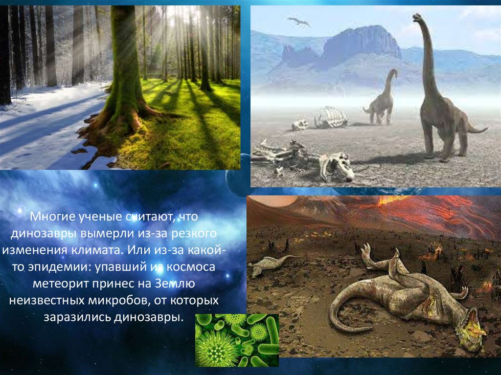 Все вымершие живут. Изменение климата вымирание динозавров. Динозавры вымерли. Как вымерли динозавры. Из за чего динозавры померли.