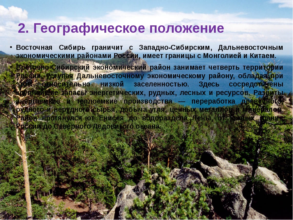 Тайга - природная зона, описание, климат, особенности и характеристика | зона тайги россии