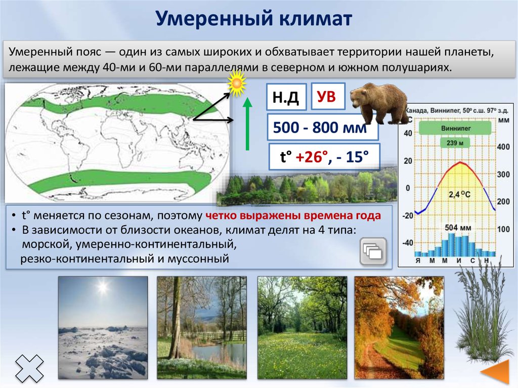Климатические пояса евразии - описание, особенности и интересные факты