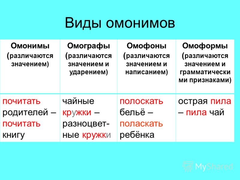 Что такое омонимы определение и примеры слов с несколькими значениями - tarologiay.ru
