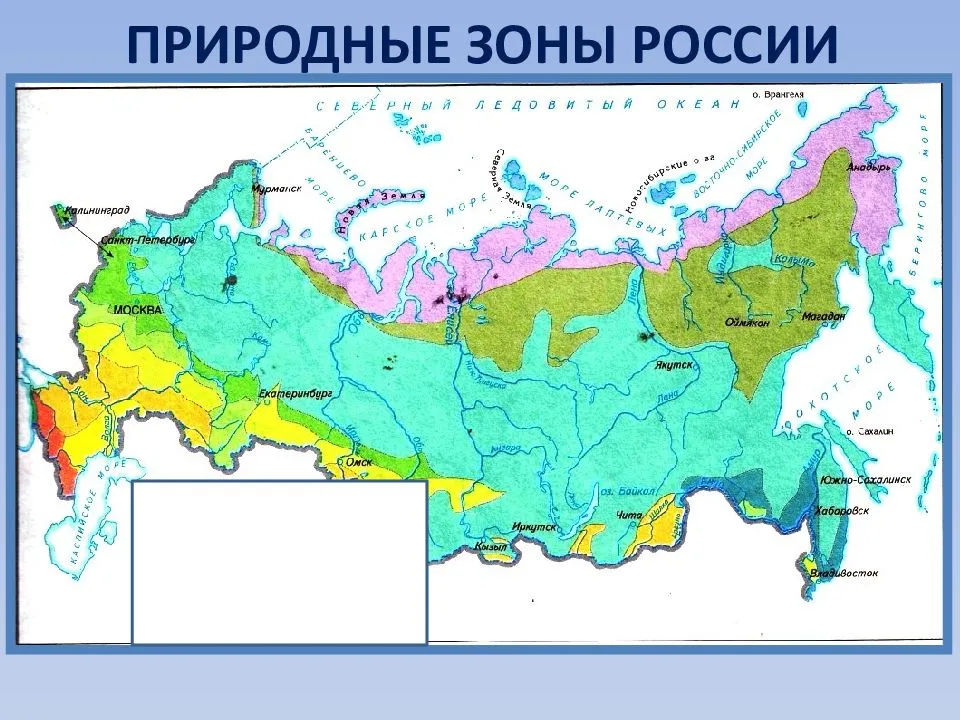 Урок 6: природные зоны россии - 100urokov.ru