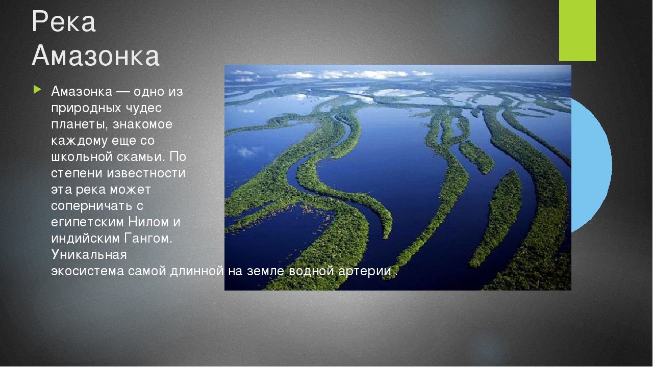 Великая река амазонка: длина и другие характеристики, интересные факты