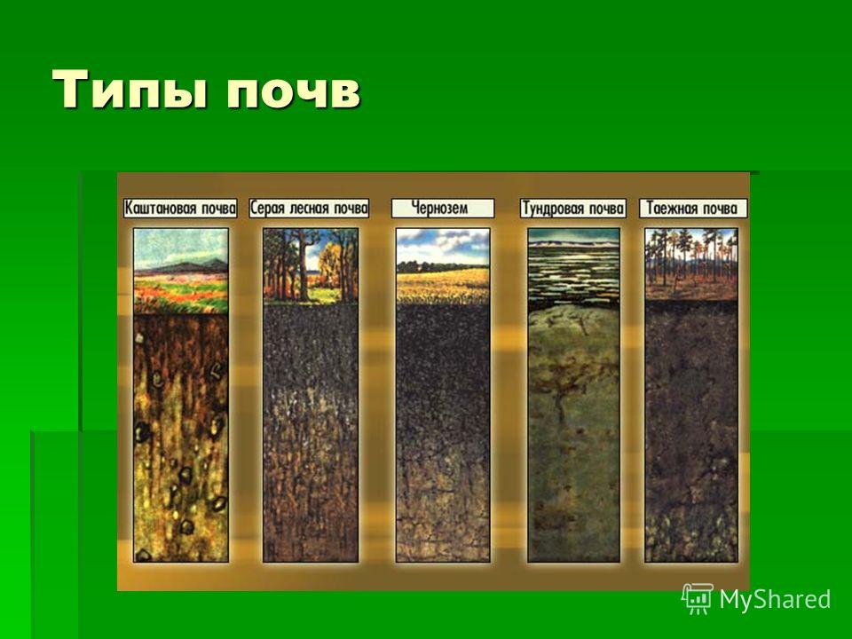 Почвенный покров россии