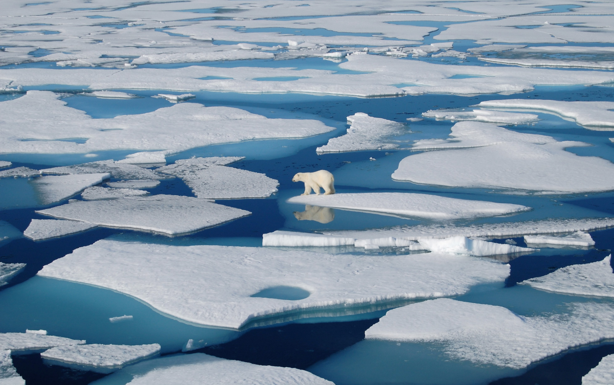 Как меняется природа арктических морей с запада. Океан Северный Ледовитый океан. Арктика Северный Ледовитый океан. Ледовый Покров Северного Ледовитого океана. Ледяной Покров Северного Ледовитого океана.