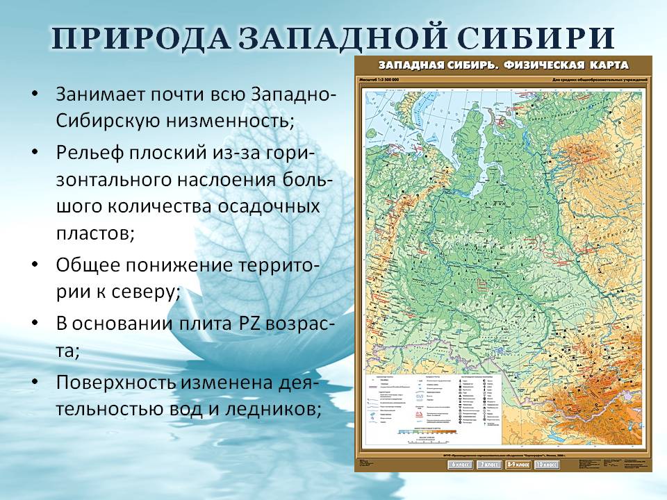 Описание равнины по плану западно сибирская равнина