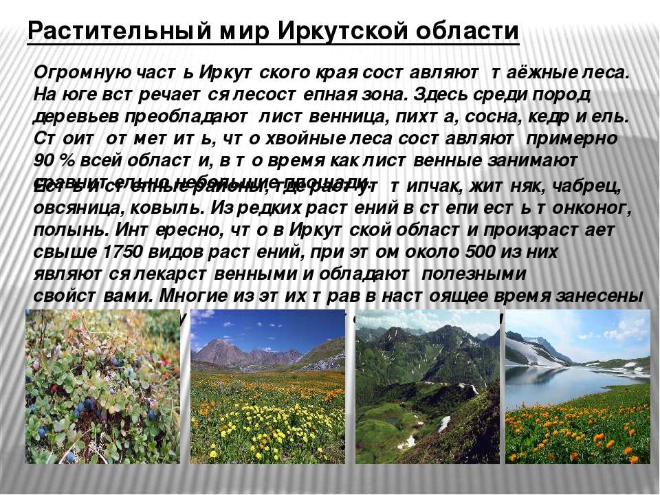 Таблица “природные зоны россии”